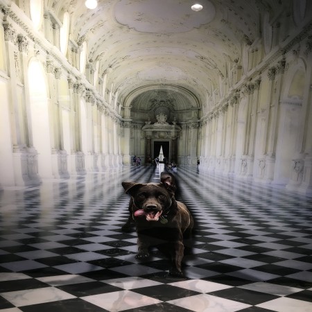 Uv Dayanımlı Şeffaf Epoksi / Poliüretan Malz. ve Vernikler